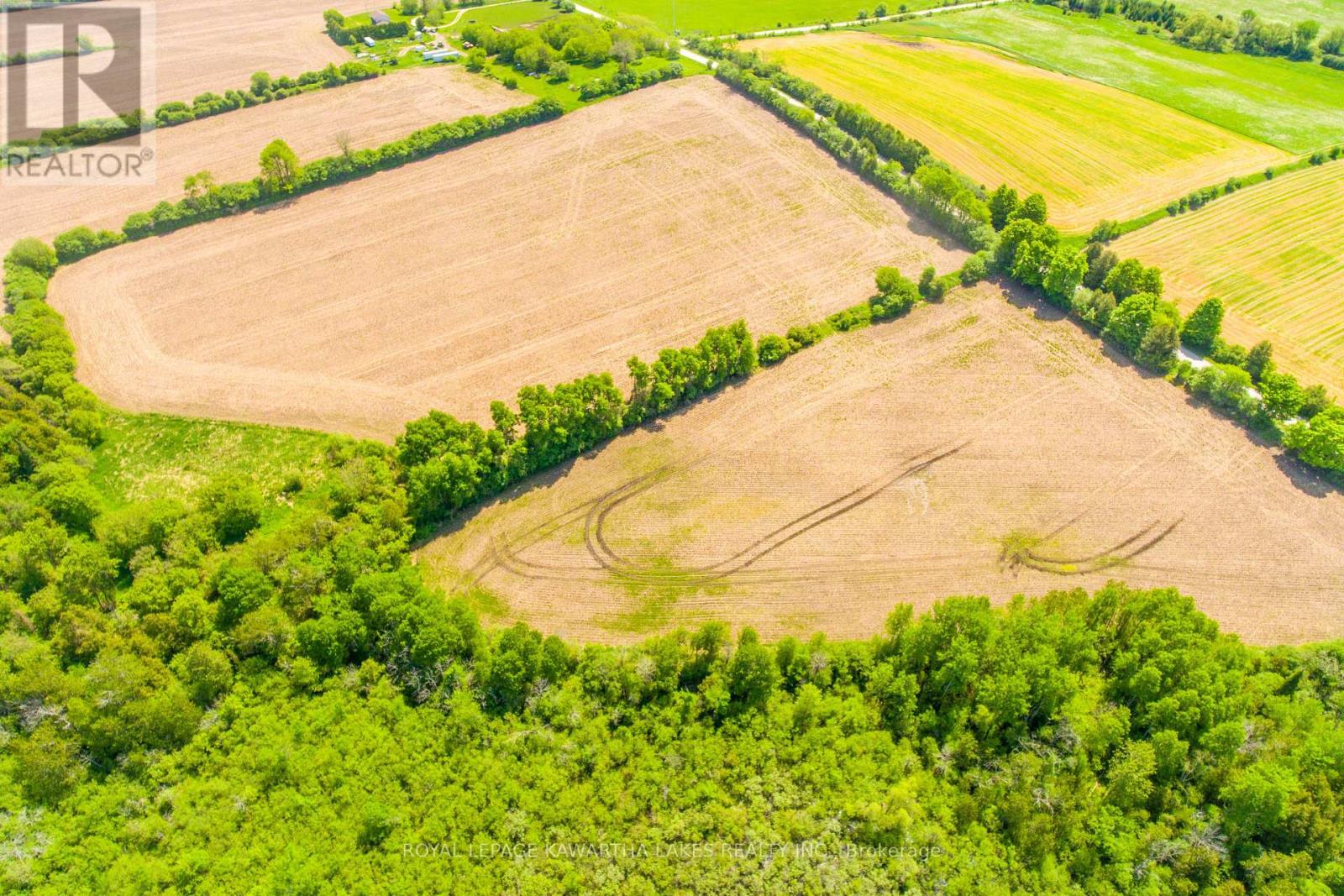 S735 Concession 9 Road, Brock, Ontario  L0C 1H0 - Photo 29 - N8201374