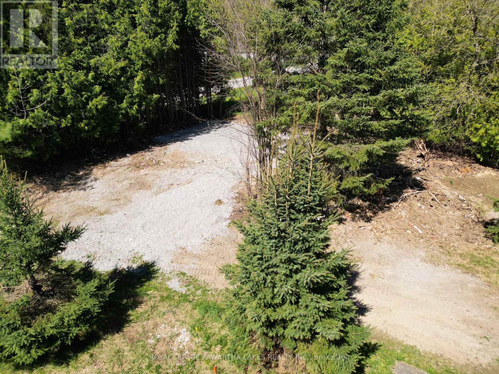 Lot 34 Cockburn Street, Kawartha Lakes (Norland), Ontario  K0M 2L0 - Photo 10 - X8316460