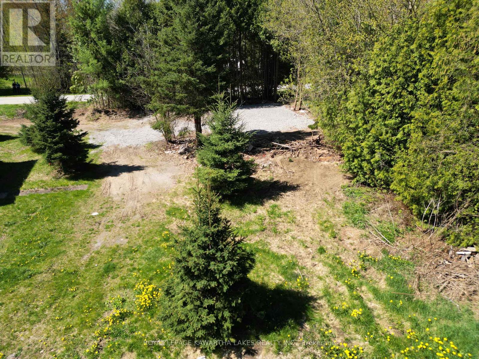 Lot 34 Cockburn Street, Kawartha Lakes (Norland), Ontario  K0M 2L0 - Photo 12 - X8316460