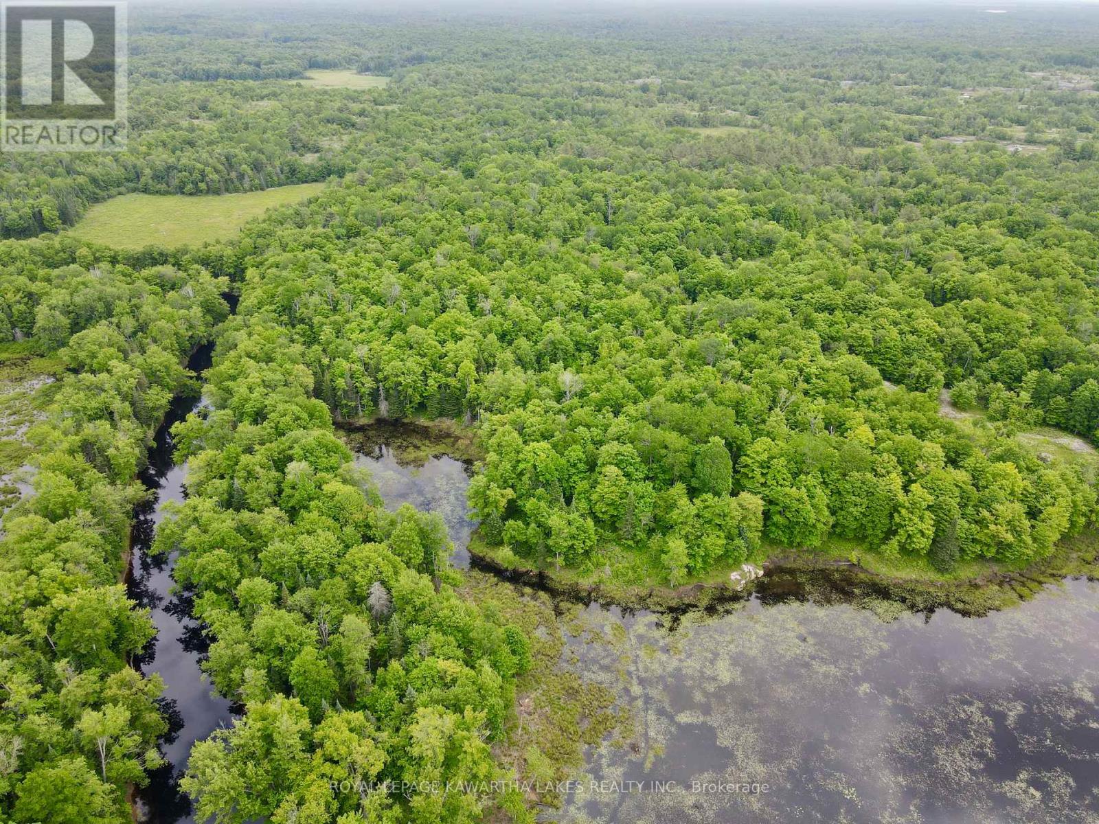 0 Black River Road, Kawartha Lakes, Ontario  L0K 2B0 - Photo 10 - X8416698