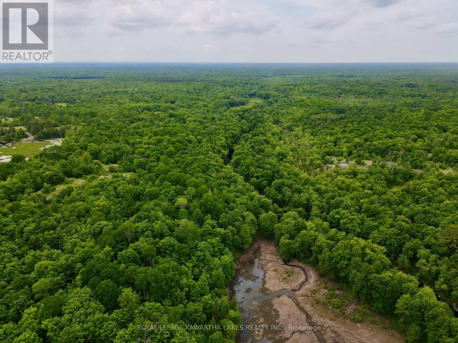 0 Black River Road, Kawartha Lakes, Ontario  L0K 2B0 - Photo 11 - X8416698