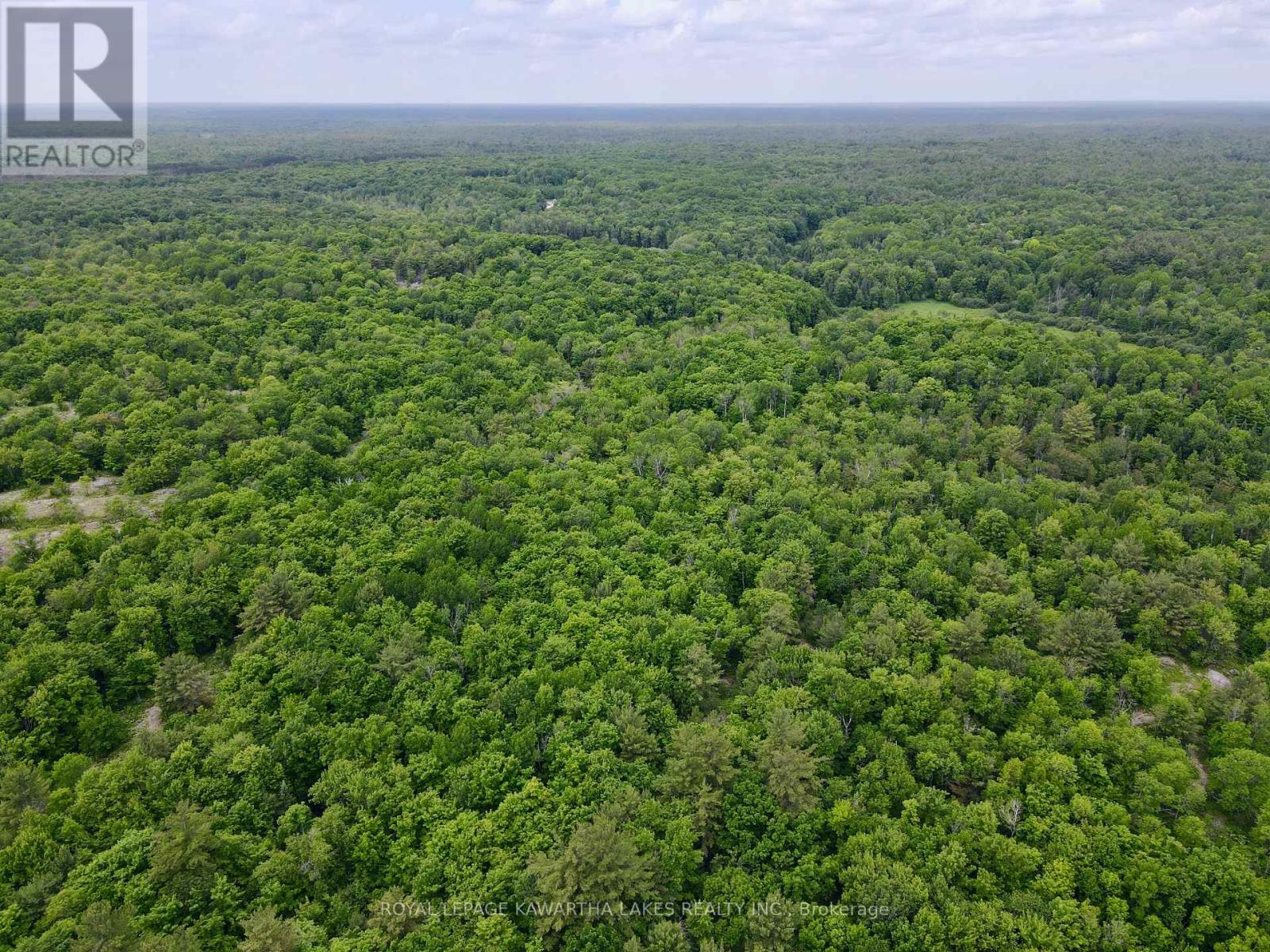 0 Black River Road, Kawartha Lakes, Ontario  L0K 2B0 - Photo 13 - X8416698