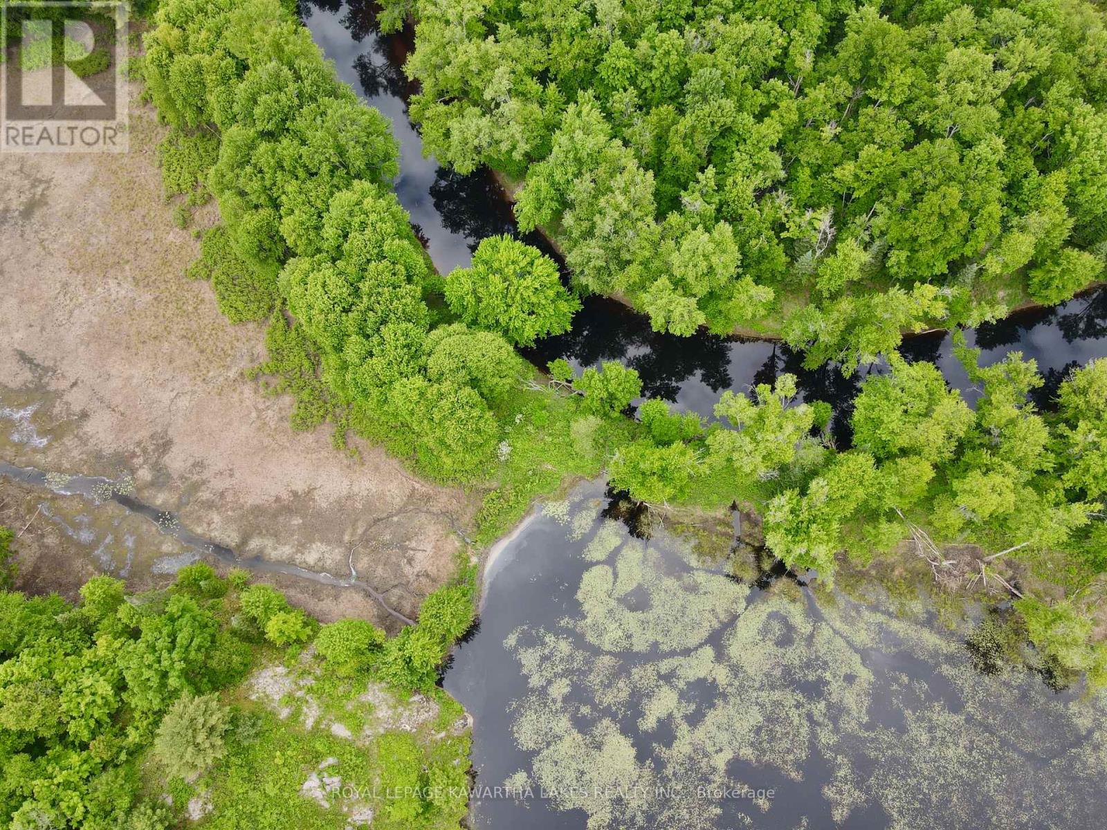 0 Black River Road, Kawartha Lakes, Ontario  L0K 2B0 - Photo 14 - X8416698