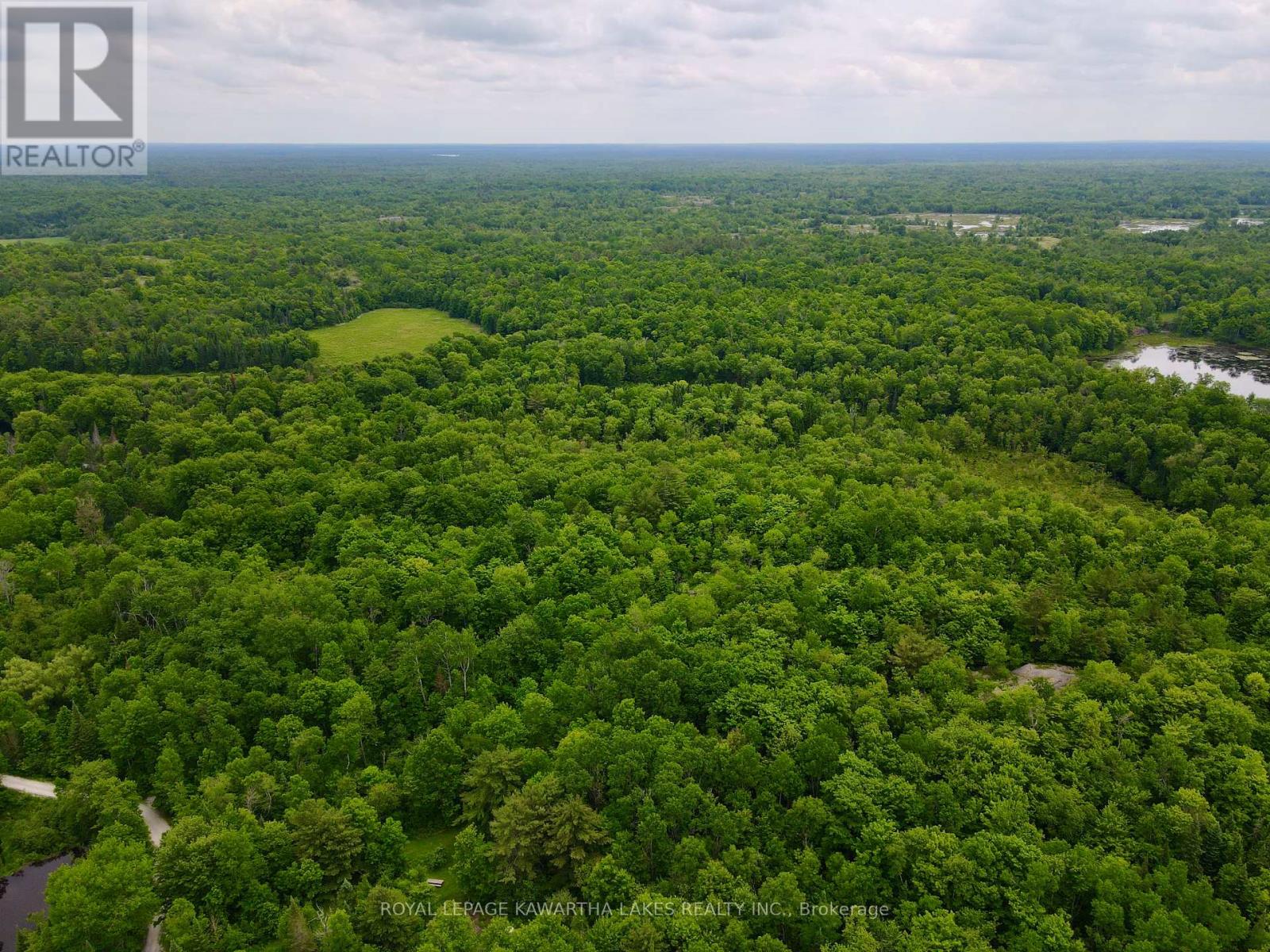 0 Black River Road, Kawartha Lakes, Ontario  L0K 2B0 - Photo 16 - X8416698