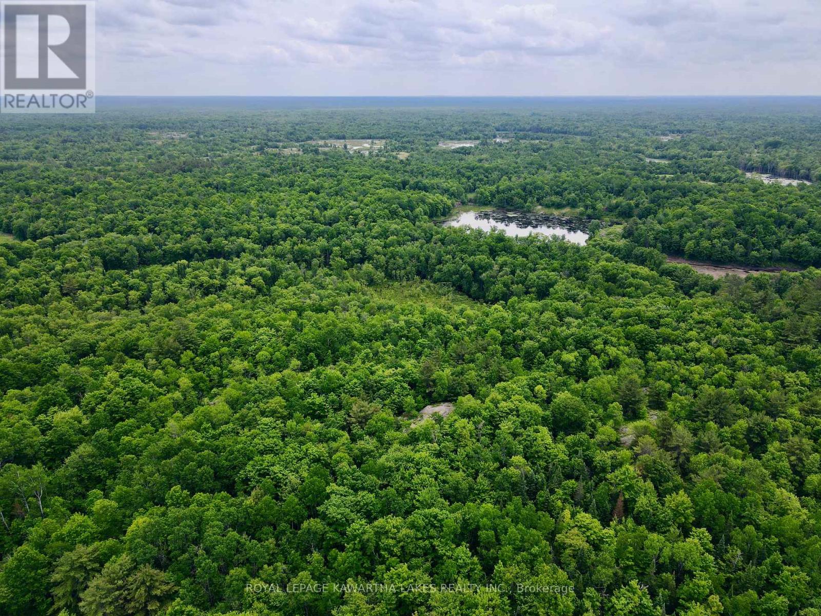 0 Black River Road, Kawartha Lakes, Ontario  L0K 2B0 - Photo 17 - X8416698