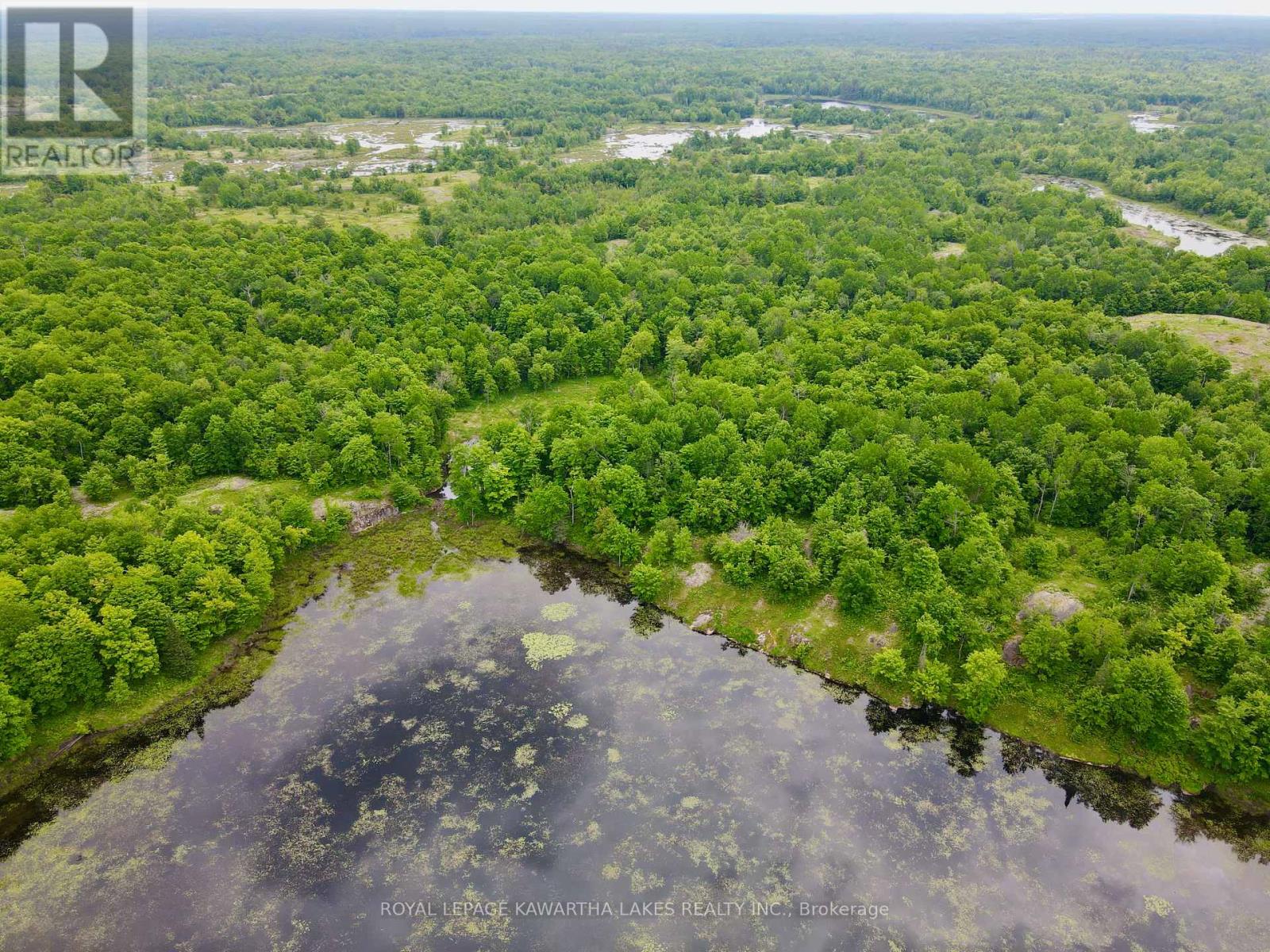 0 Black River Road, Kawartha Lakes, Ontario  L0K 2B0 - Photo 20 - X8416698