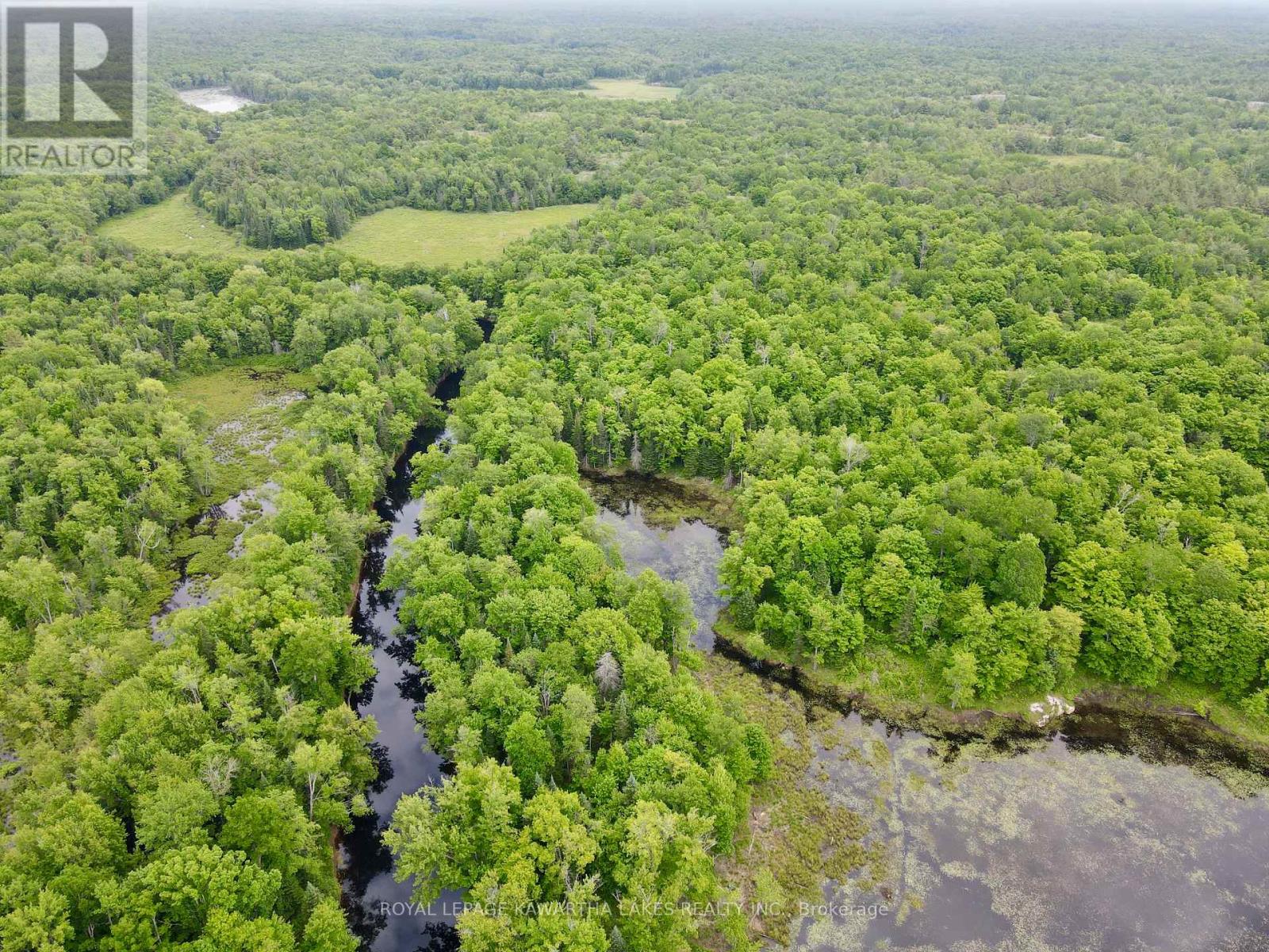 0 Black River Road, Kawartha Lakes, Ontario  L0K 2B0 - Photo 22 - X8416698