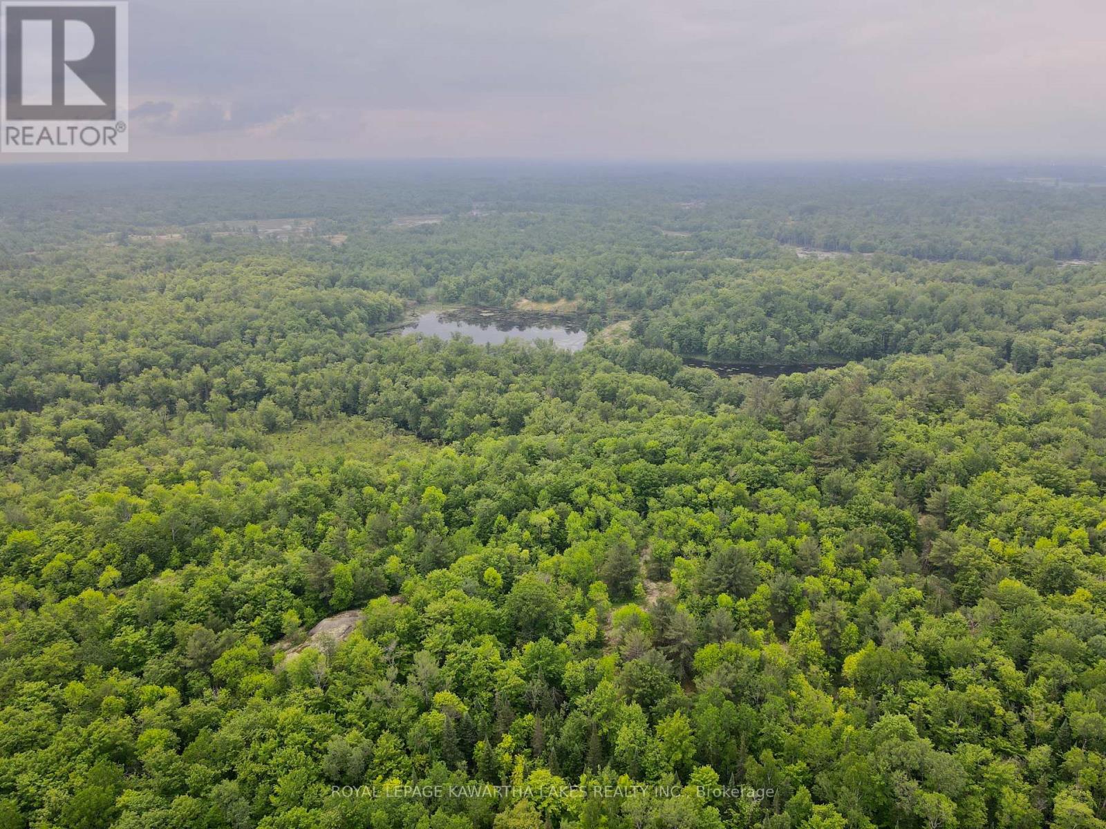 0 Black River Road, Kawartha Lakes, Ontario  L0K 2B0 - Photo 5 - X8416698