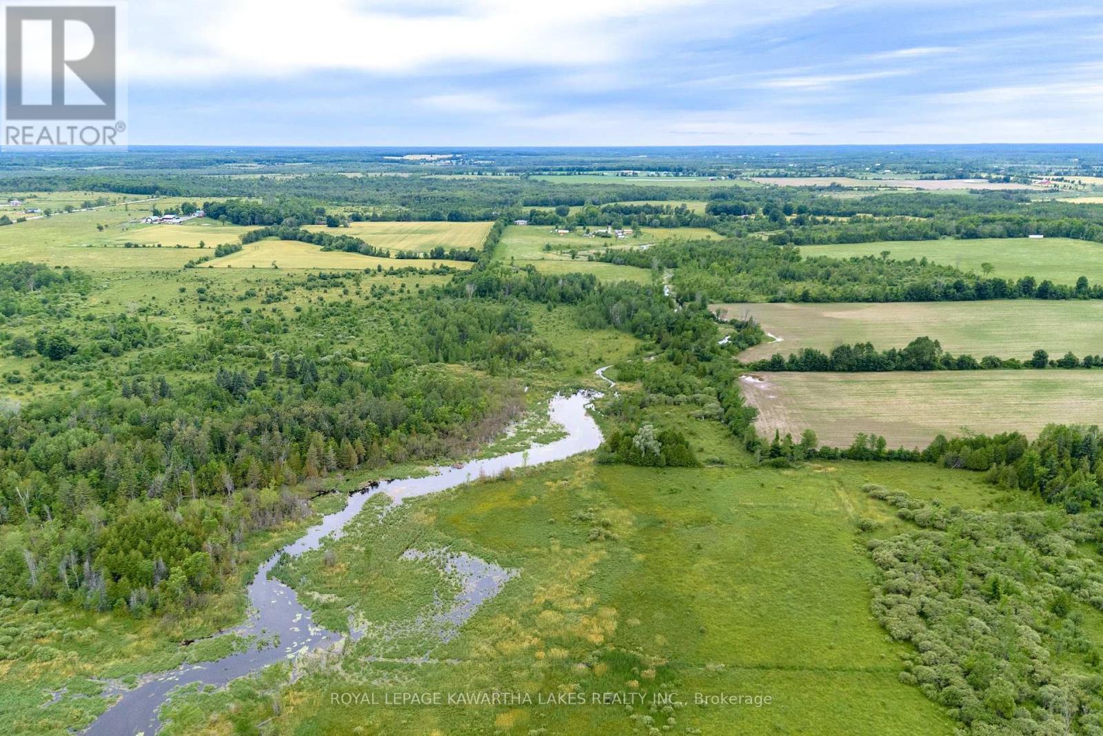 229 Creek View Road, Kawartha Lakes, Ontario  K0M 2T0 - Photo 5 - X9009879