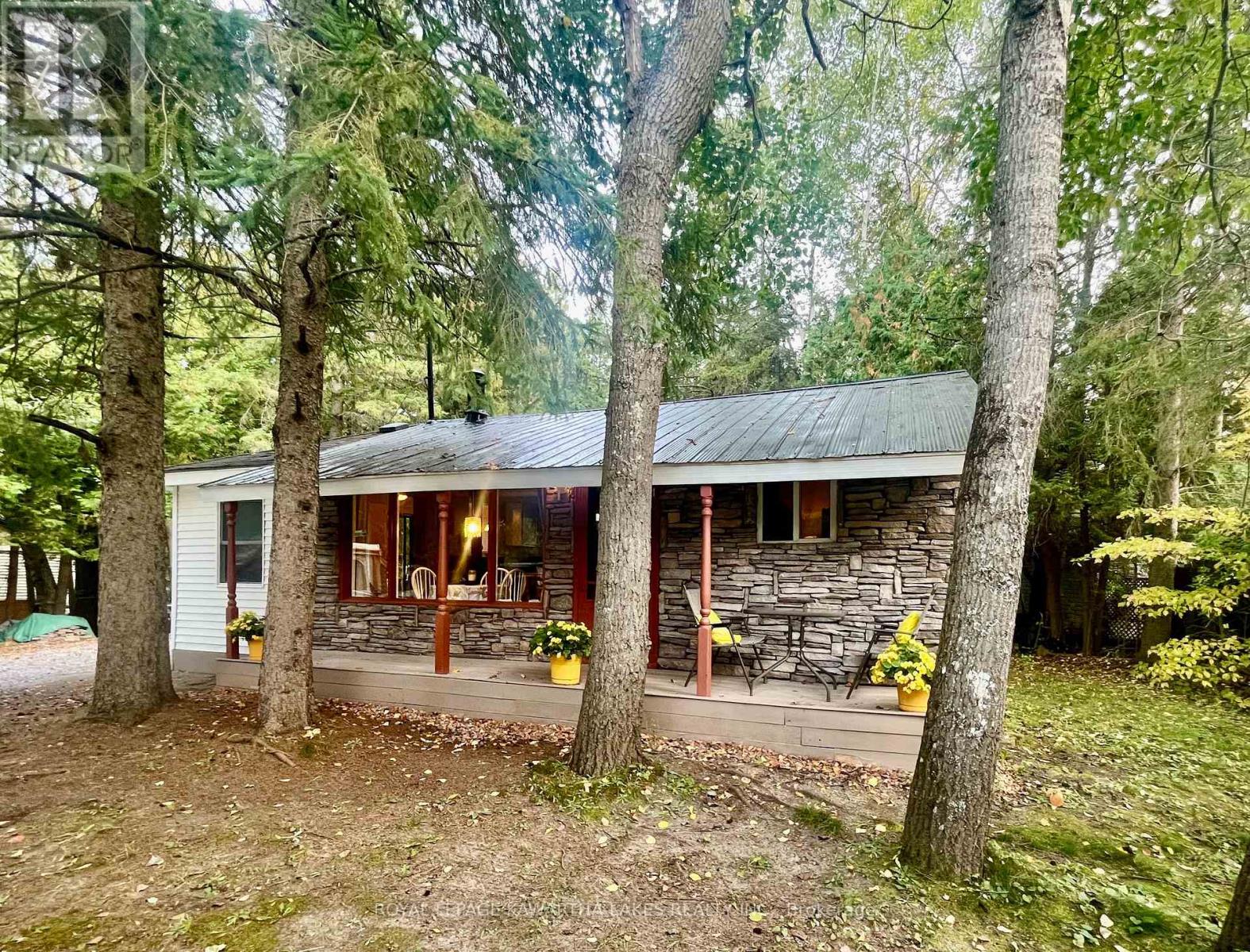 81 Mcguire Beach Road, Kawartha Lakes, Ontario  K0M 2B0 - Photo 30 - X9040953